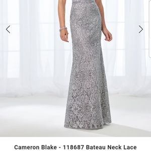 Cameron Blake Mother of the Bride gown.